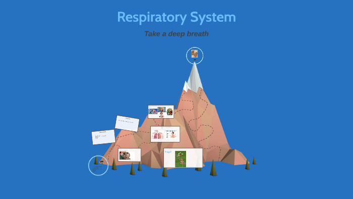 Respiratory System! by on Prezi