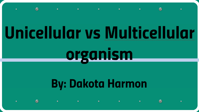 Unicellular vs. Multicellular