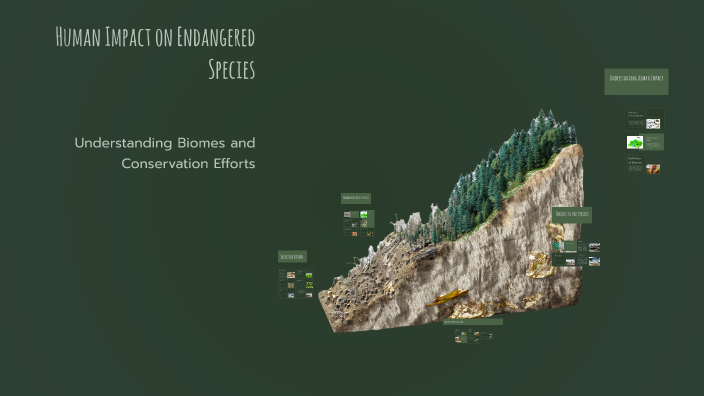 Human Impact on Endangered Species by Nicholas Beets on Prezi