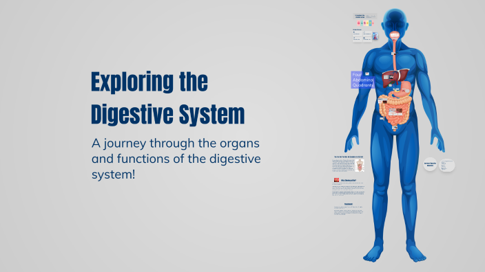 Exploring the Digestive System by Sarah Winkler on Prezi