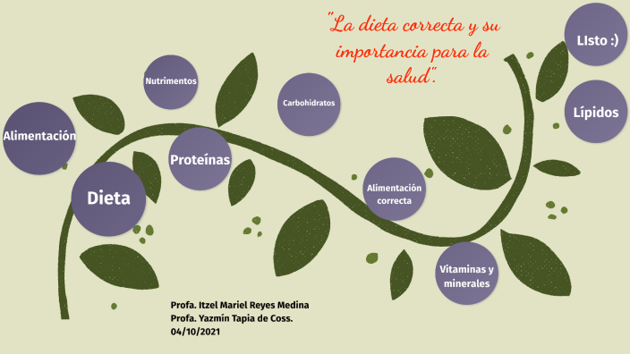 La Dieta Correcta By Itzel Mariel Reyes Medina On Prezi Next 5400