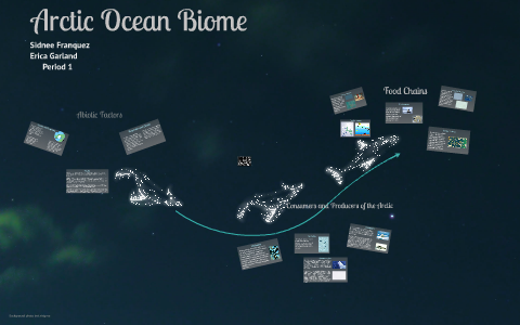 Arctic Ocean Biome by Erica Garland on Prezi