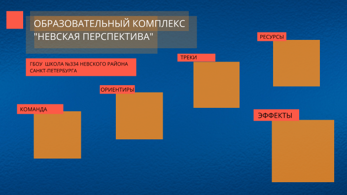 Перспективы проекта что писать