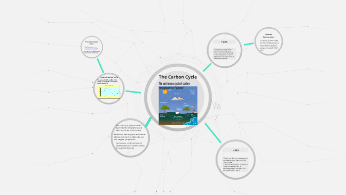 The Carbon Cycle by Jacob Jarvis on Prezi