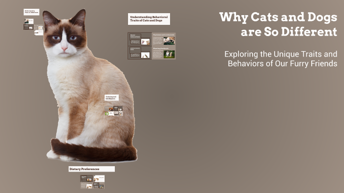 Why Cats and Dogs are So Different by Тарас Сапріянчук on Prezi