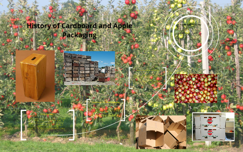 History of Apple Packaging by