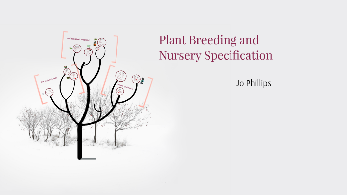 Plant Breeding And Nursery Specification By Joanne Phillips On Plant Breeding And Nursery