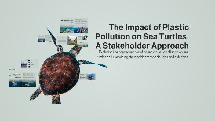 The Impact of Plastic Pollution on Sea Turtles: A Stakeholder Approach ...