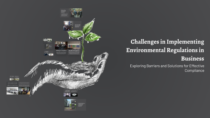 Challenges in Implementing Environmental Regulations in Business by ...