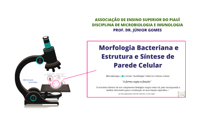 Morfologia bacteriana, estrutura e síntese de parede celular by Antonio ...