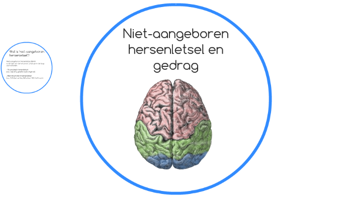 Niet-aangeboren hersenletsel en gedrag by on Prezi