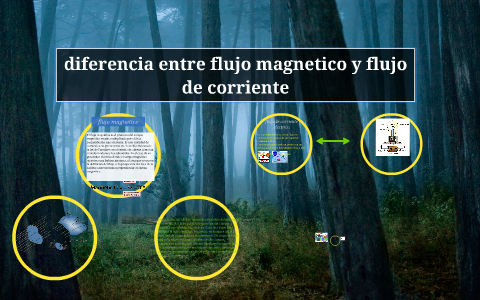 flujo magnetico