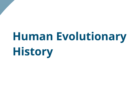 Human evolution by Alexander Berry on Prezi