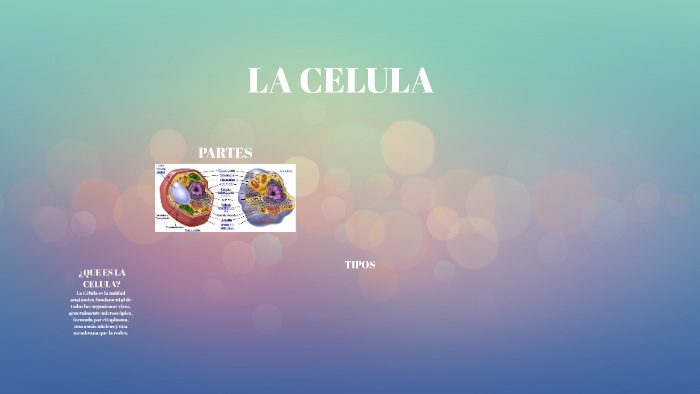 LA CELULA by Sofia Lopez on Prezi