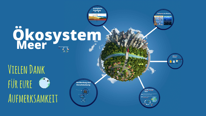 Ökosystem Meer Ökosystem Meer
