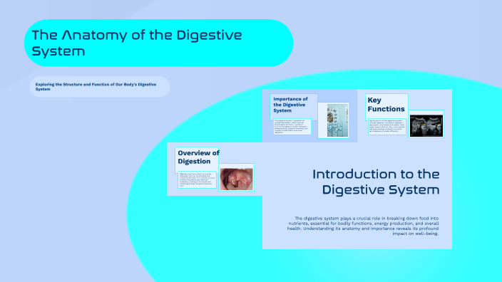 Anatomy of the Digestive System by Hania Zulfiqar on Prezi