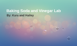 Baking Soda Vinegar Lab By Kara Kay