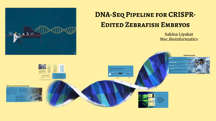 Zebra Fish DNA Sequencing by sakina liyakat on Prezi
