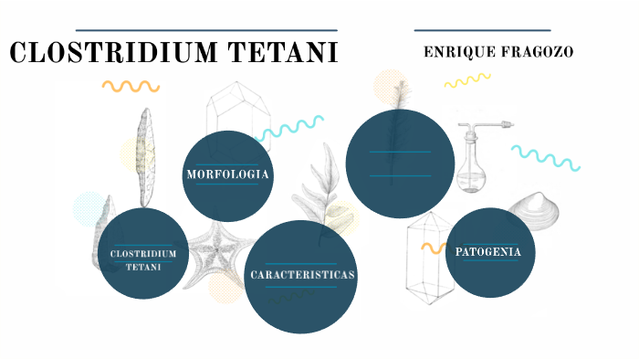 tinción de gram para clostridium tetani