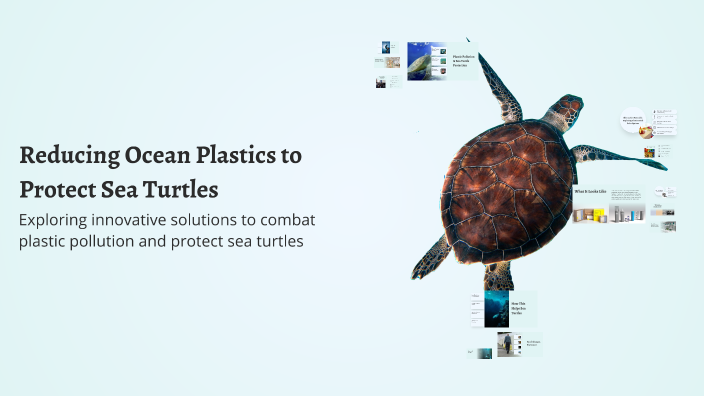 Reducing Ocean Plastics to Protect Sea Turtles by liz robins on Prezi
