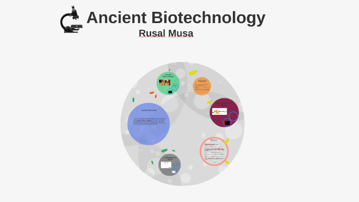 Ancient Biotechnology by Rusal Musa on Prezi
