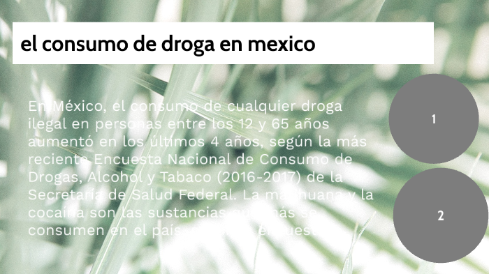 El Consumo De Drogas En Mexico By Sergio Hernandez Parra On Prezi 6797