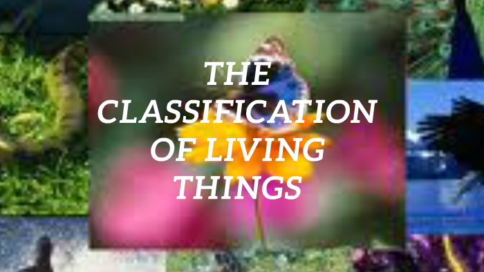 the-classification-of-living-things-by-merce-lopez-rosa