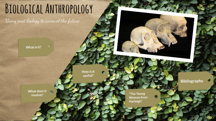 Biological Archaeology By Sanjita C On Prezi