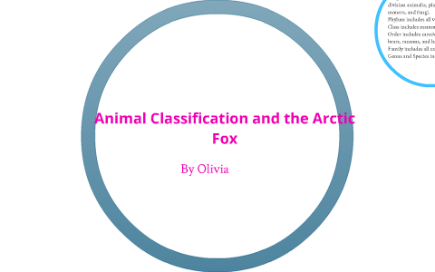 Animal Classification and the Arctic Fox by Shalla Bowman on Prezi