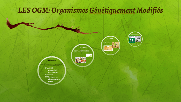 OGM ET ST RILISATION visual data 8