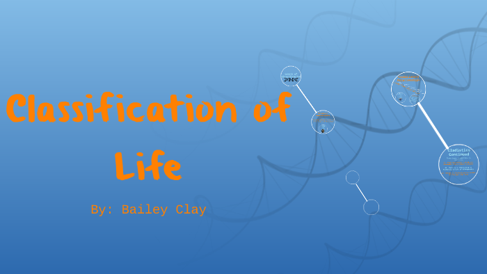 classification-of-life-by-bailey-clay