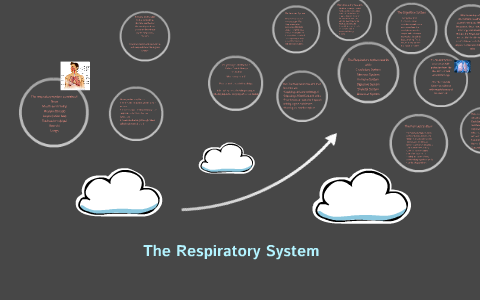 The Respiratory System by wyatt BENNEIWSE on Prezi