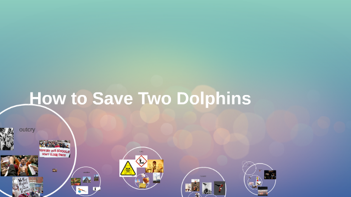 How To Save Two Dolphins By Rebecca Bassett On Prezi Next
