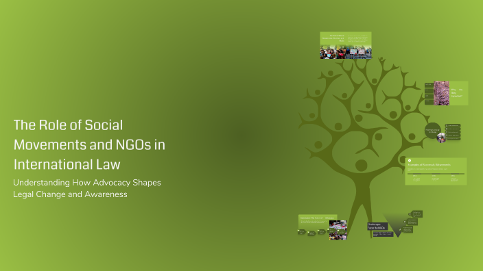 The Role of Social Movements and NGOs in International Law by Rina ...