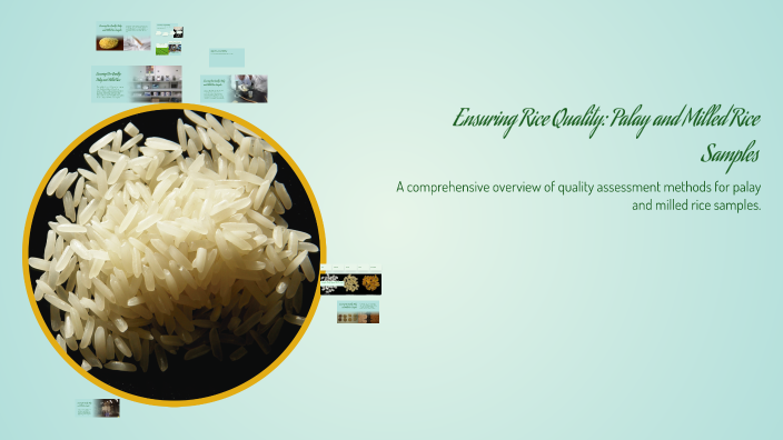 Palay To Rice Ensuring Rice Quality: Palay and Milled Rice Samples by An Dy on Prezi