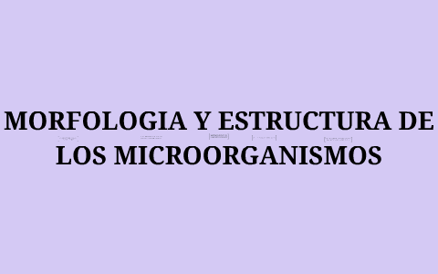 Morfologia y Estructuras de Microorganismos by Andrew varper on Prezi