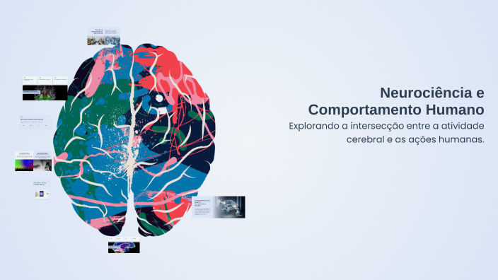 Neurociência e Comportamento Humano by Ana Beatriz Silva on Prezi