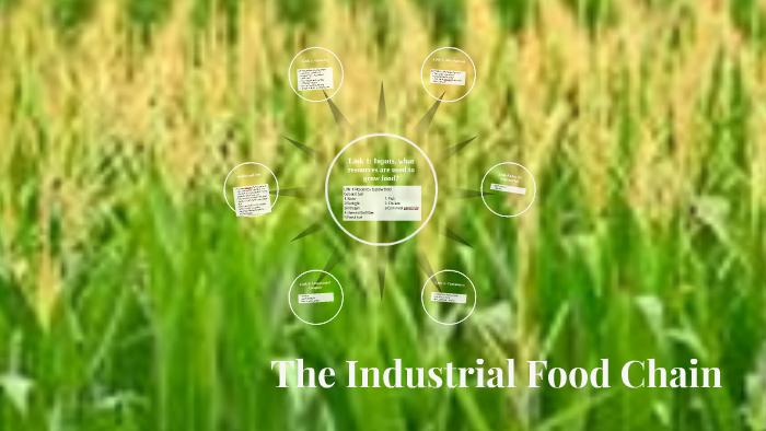 the-industrial-food-chain-by-kyle-mavrogeorge