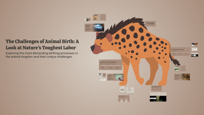 The Challenges of Animal Birth: A Look at Nature's Toughest Labor by ...