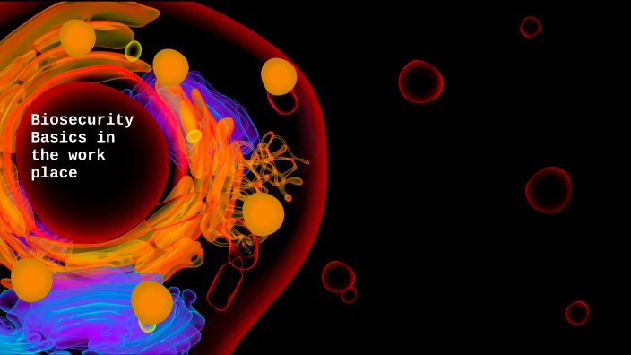 Biosecurity Basics By Mayron Lemus On Prezi