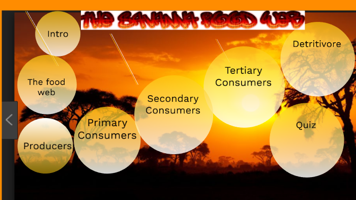 komodo dragon food chain diagram