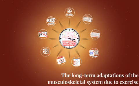 Musculoskeletal discount system exercise