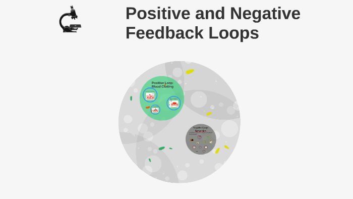 Positive and Negative Feedback Loops by on Prezi