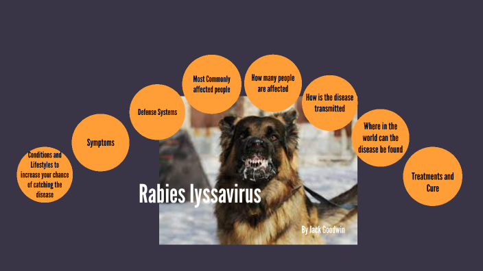 Science Task 1 - Rabies by Jack Goodwin on Prezi