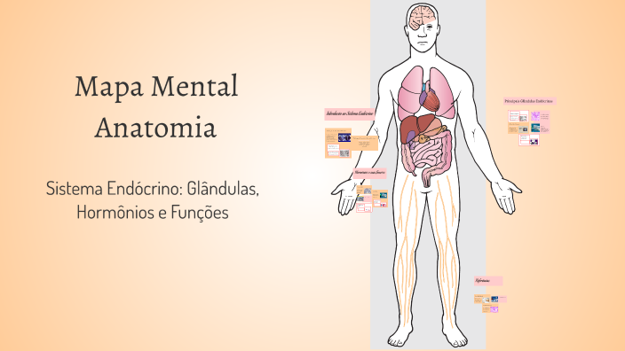 Mapa Mental - Anatomia by Milene Franco MS on Prezi