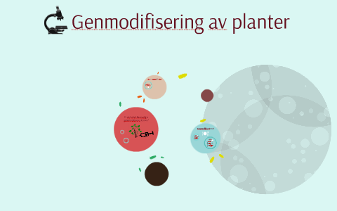 Genmodifisering By Sara Myhr S nmez On Prezi genmodifisering-by-sara-myhr-s-nmez-on-prezi