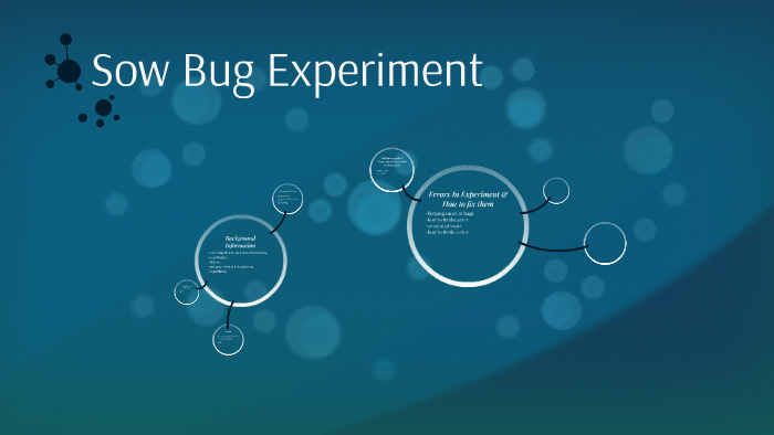 sow bug experiment