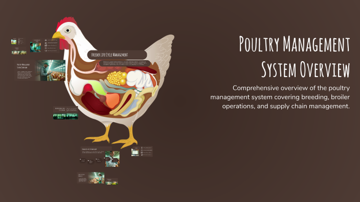 Poultry Management Problem Poultry Management System Overview by Dania Ajlouni on Prezi