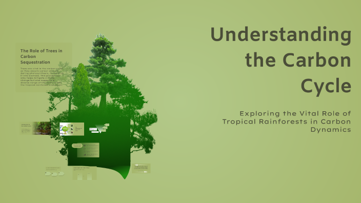 Understanding the Carbon Cycle by tyler watts on Prezi