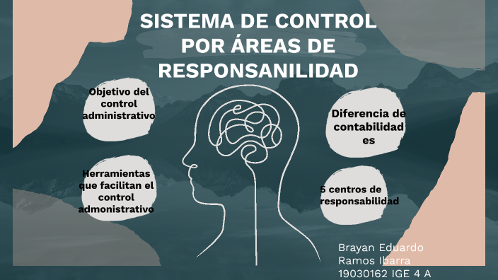 sistema de control por 'area de responsabilidad by Brayan Ramos